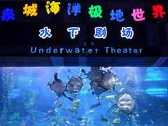-泉城欧乐堡海洋极地世界