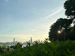 -深圳湾公园(南山区)