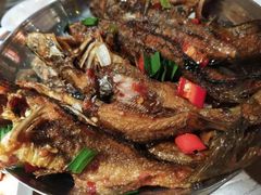 -上菜呷饭(唐家店)