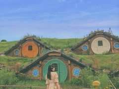 -武汉紫薇都市田园