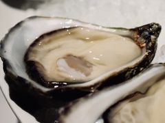 安之莲-Oyster Talks 四度蚝法餐厅