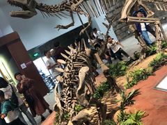 -自贡恐龙博物馆