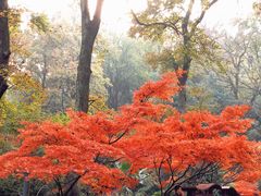 -岳麓山风景名胜区