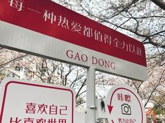 -高东镇樱花园