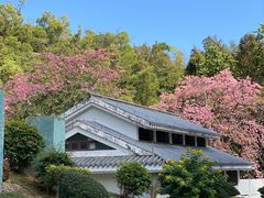 -珠海圆明新园