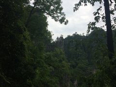 -塔云山