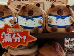 -首开·龙湖成都西宸天街
