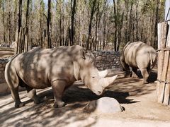 -北京野生动物园