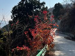 -北京鹫峰国家森林公园