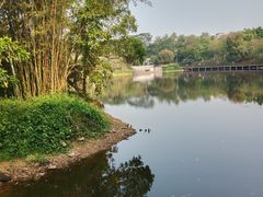 -大屏嶂森林公园