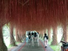 -荔湾湖公园