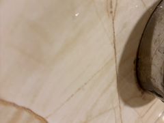 -南京钟山宾馆(江苏省会议中心)