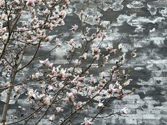 -东华门大街小区