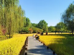 -北坞公园