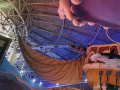 -烟台海昌鲸鲨海洋公园