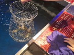 -钳真多钓虾馆·小龙虾海鲜烧烤(九六广场店)