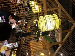 大堂-探窝·竹笙椰子鸡(杨箕店)