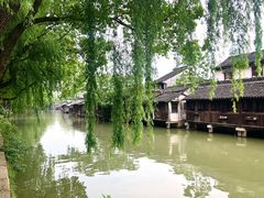 -乌镇东栅景区