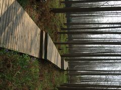 怡沁园度假村-上海怡沁园度假酒店