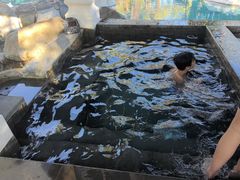 -水底山庄园温泉