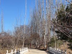 -廊坊市自然公园