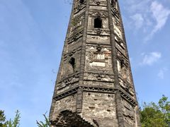 -上海佘山国家森林公园天马山园