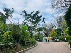 -九龙公园