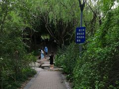 -新江湾城公园
