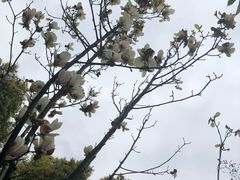 -重庆彩云湖湿地公园