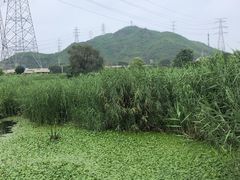 -门城湖公园
