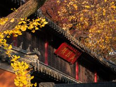 -灵谷景区