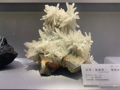 -湖南省地质博物馆