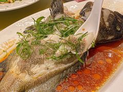 -圣丰盛宴酒家(东城店)
