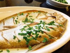 太湖白鱼-华庭苑农家乐(旺山店)