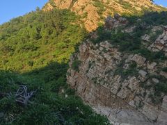 -金龙寺国家森林公园