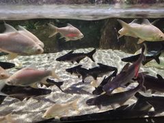 -顺德南宏海立方海洋公园