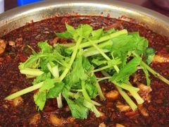 -温江公平红烧兔(总店)