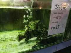 -真浪大家乐海鲜餐馆