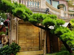 -叶叶菩提(太原别墅店)