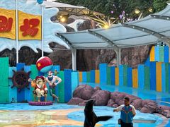 -海合安成都极地海洋公园