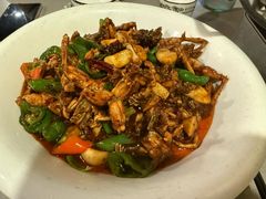 -小尹土菜