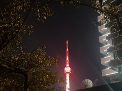 -龟山风景区-龟山电视塔