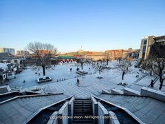 -天津大悲禅院