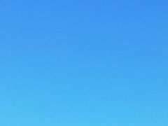 网红民宿-枸杞岛