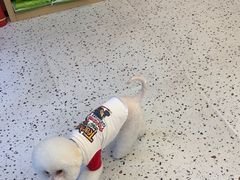 -瑞派康怡24h宠物医院·犬猫医疗中心·微创绝育(瑞景分院)