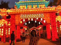 -欢乐海岸椰林沙滩-2025湾区超级灯会