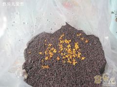 IMG_0094_nEO_IMG-矮人松糕(小南店)