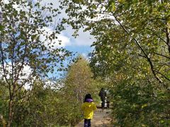 -白草畔自然风景区