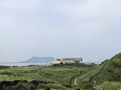 -涉地可支