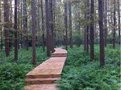 iphone_upload_pic-上海怡沁园度假酒店